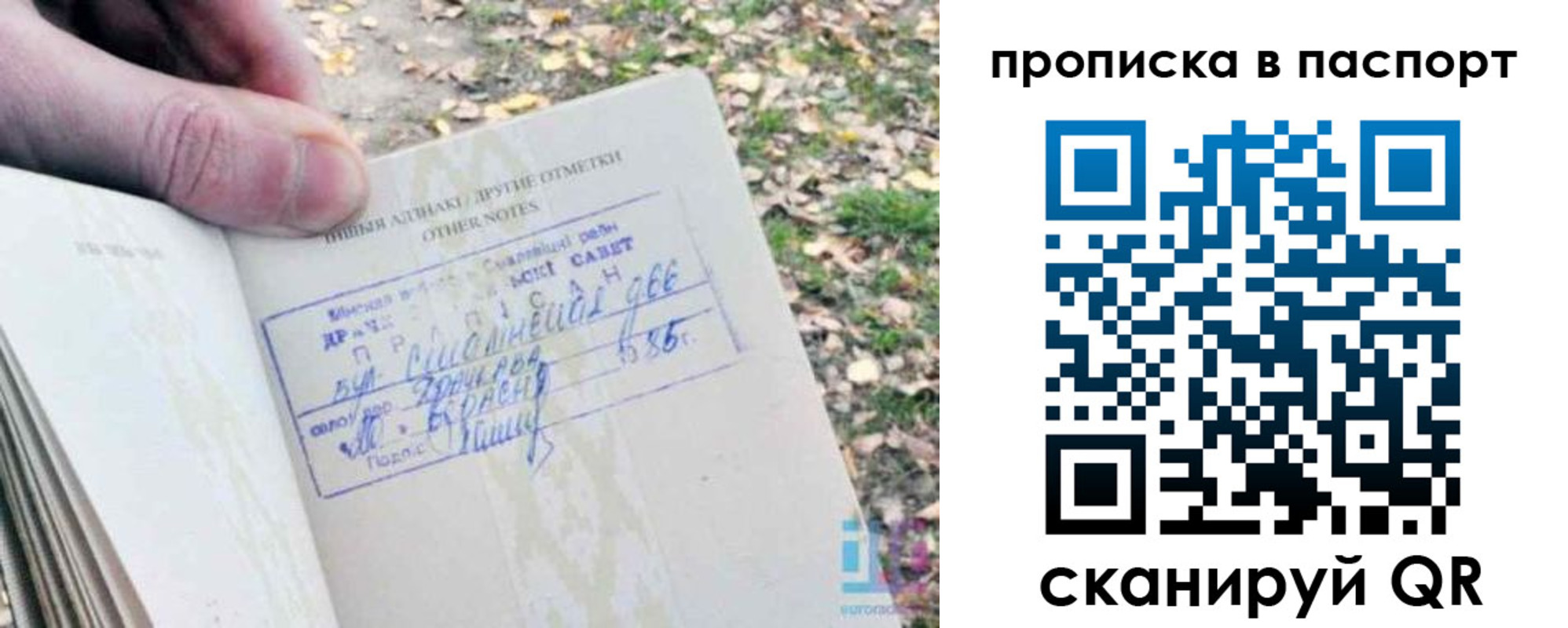 временная регистрация собственник в Исилькуле